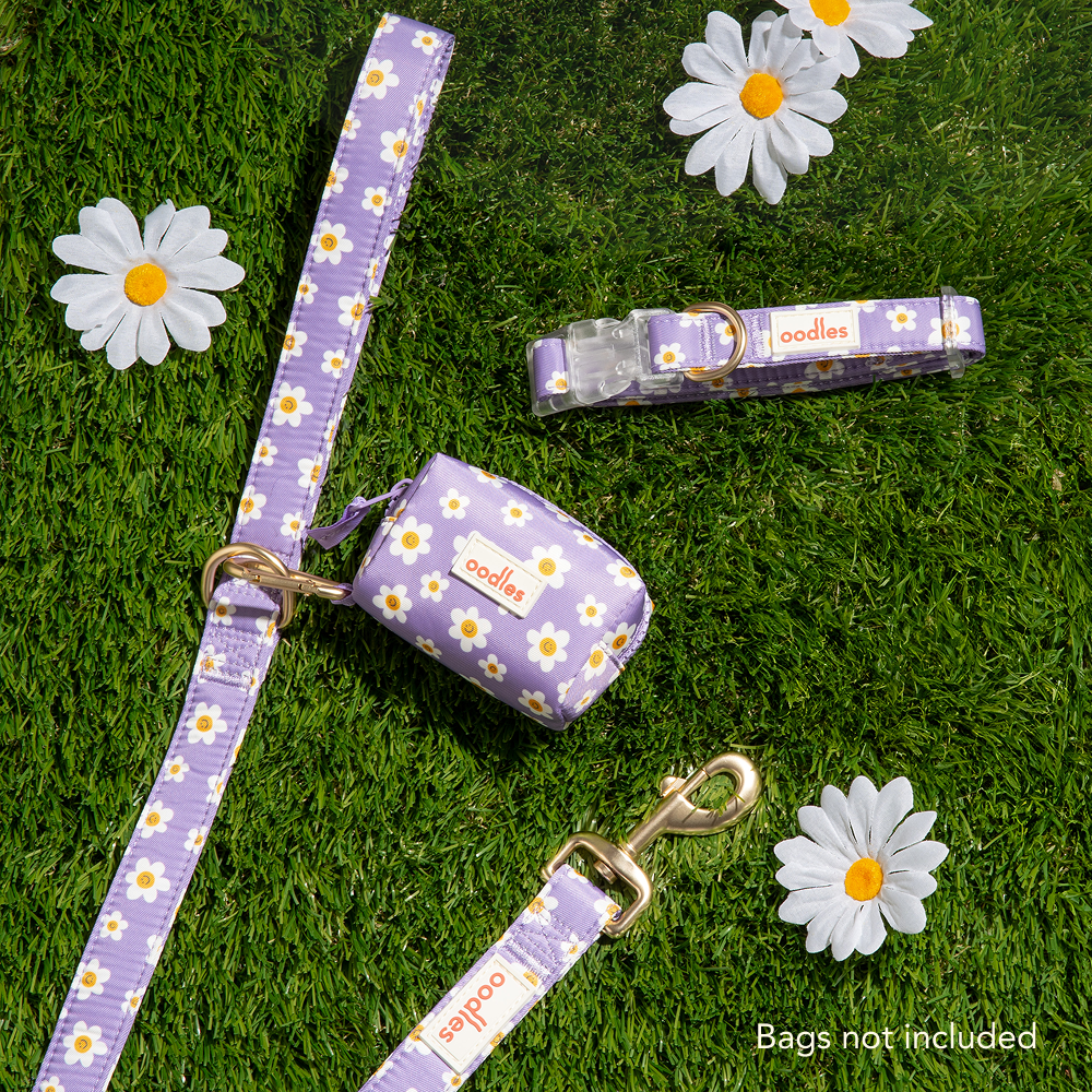3-Piece Dog Walking Set