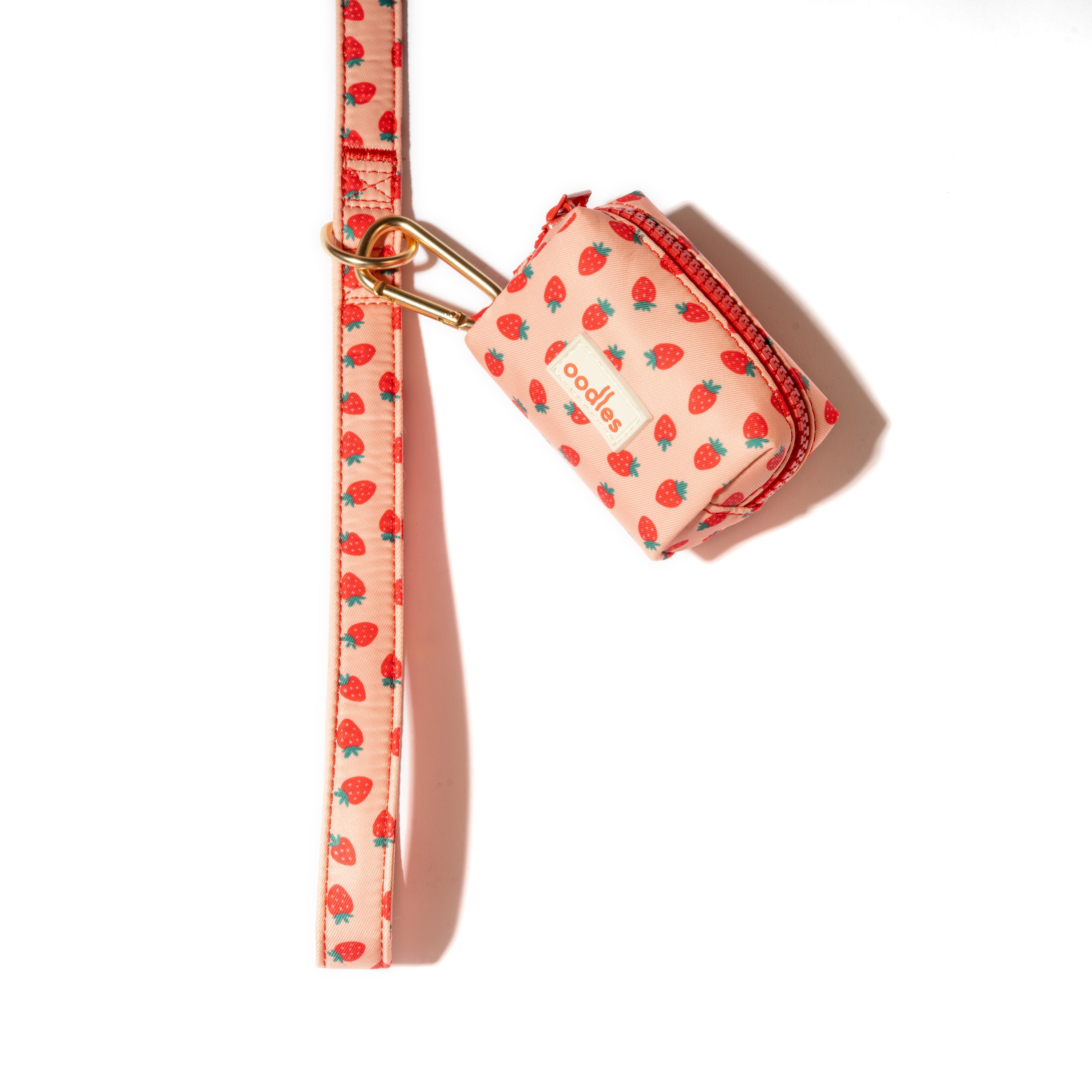 3-Piece Dog Walking Set