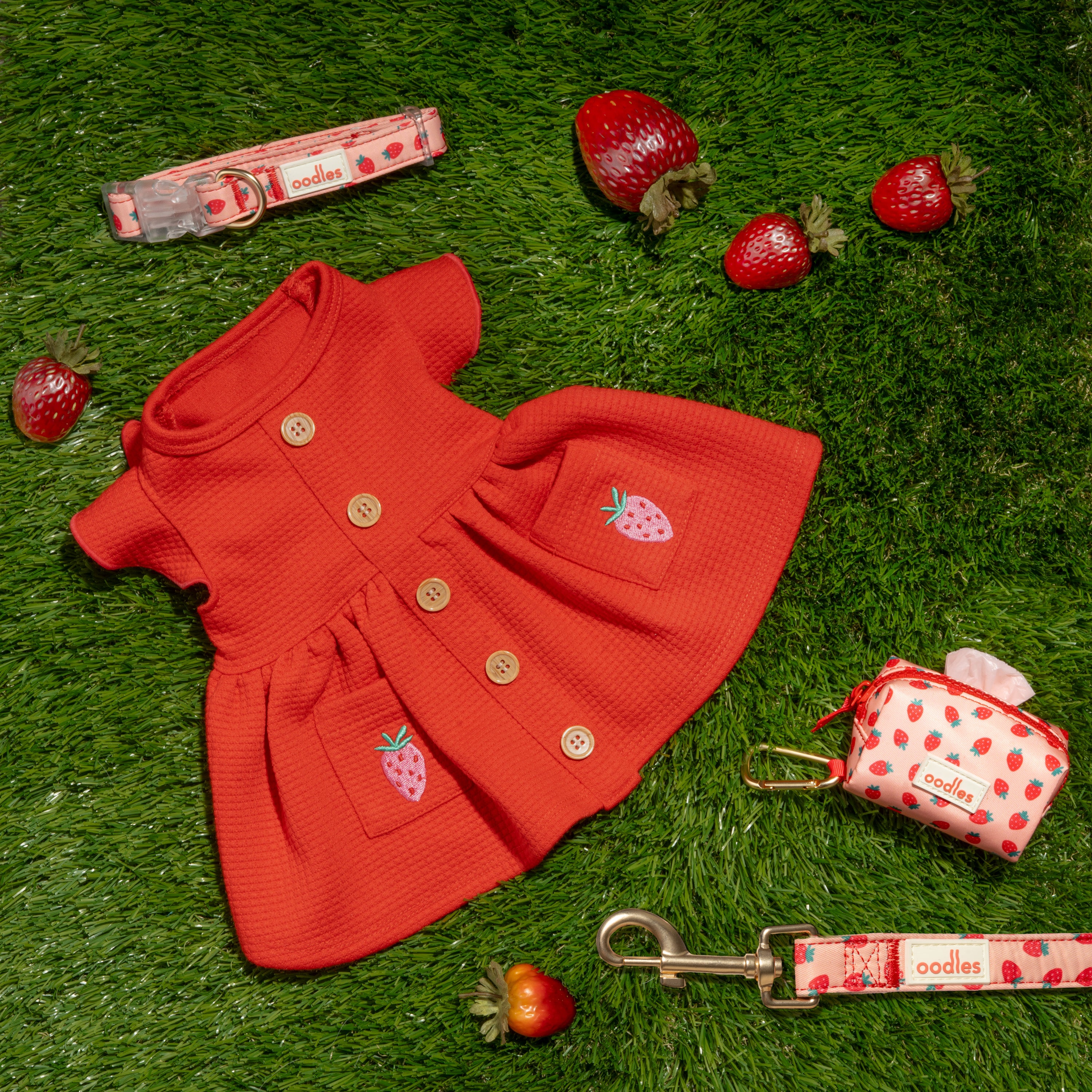 3-Piece Dog Walking Set