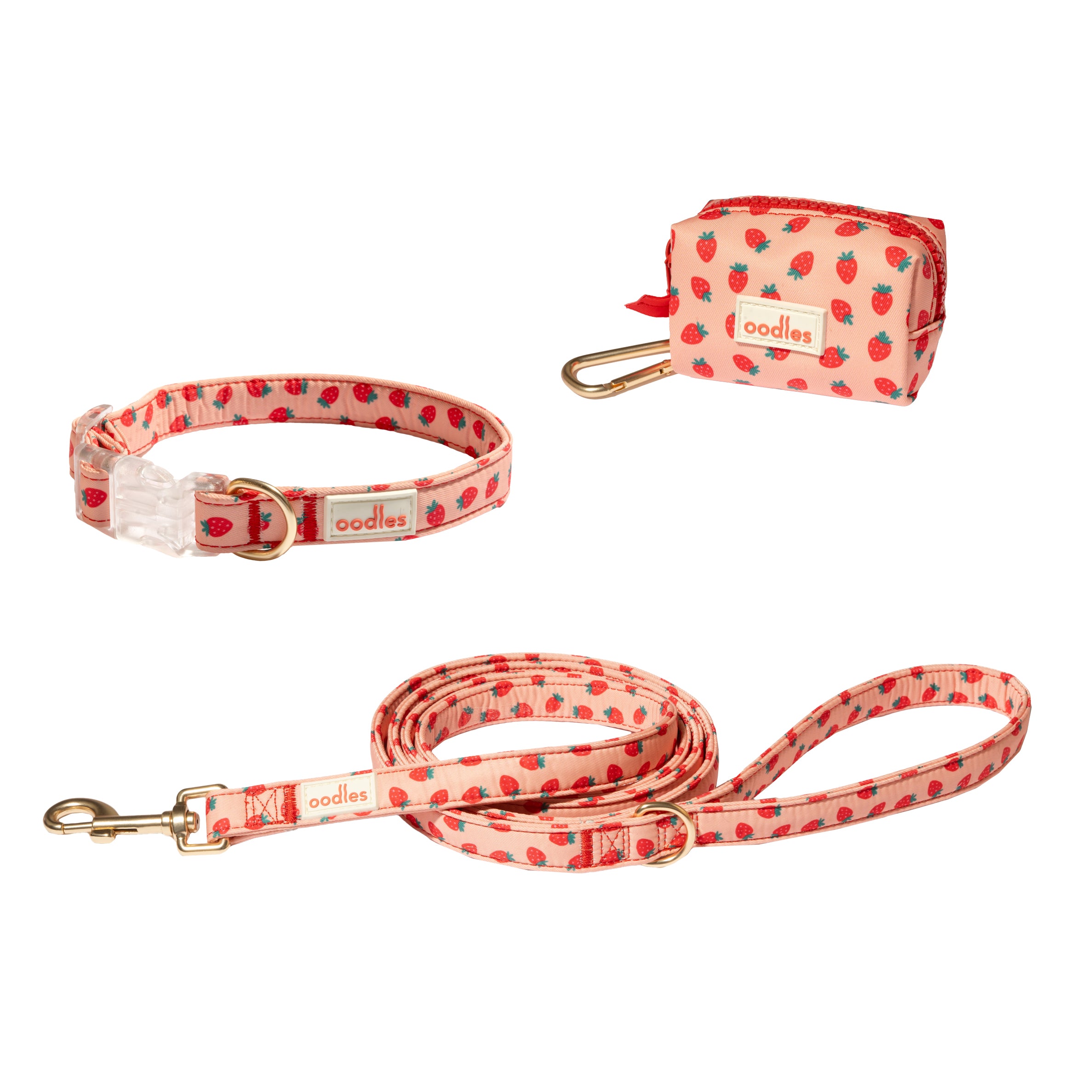 3-Piece Dog Walking Set
