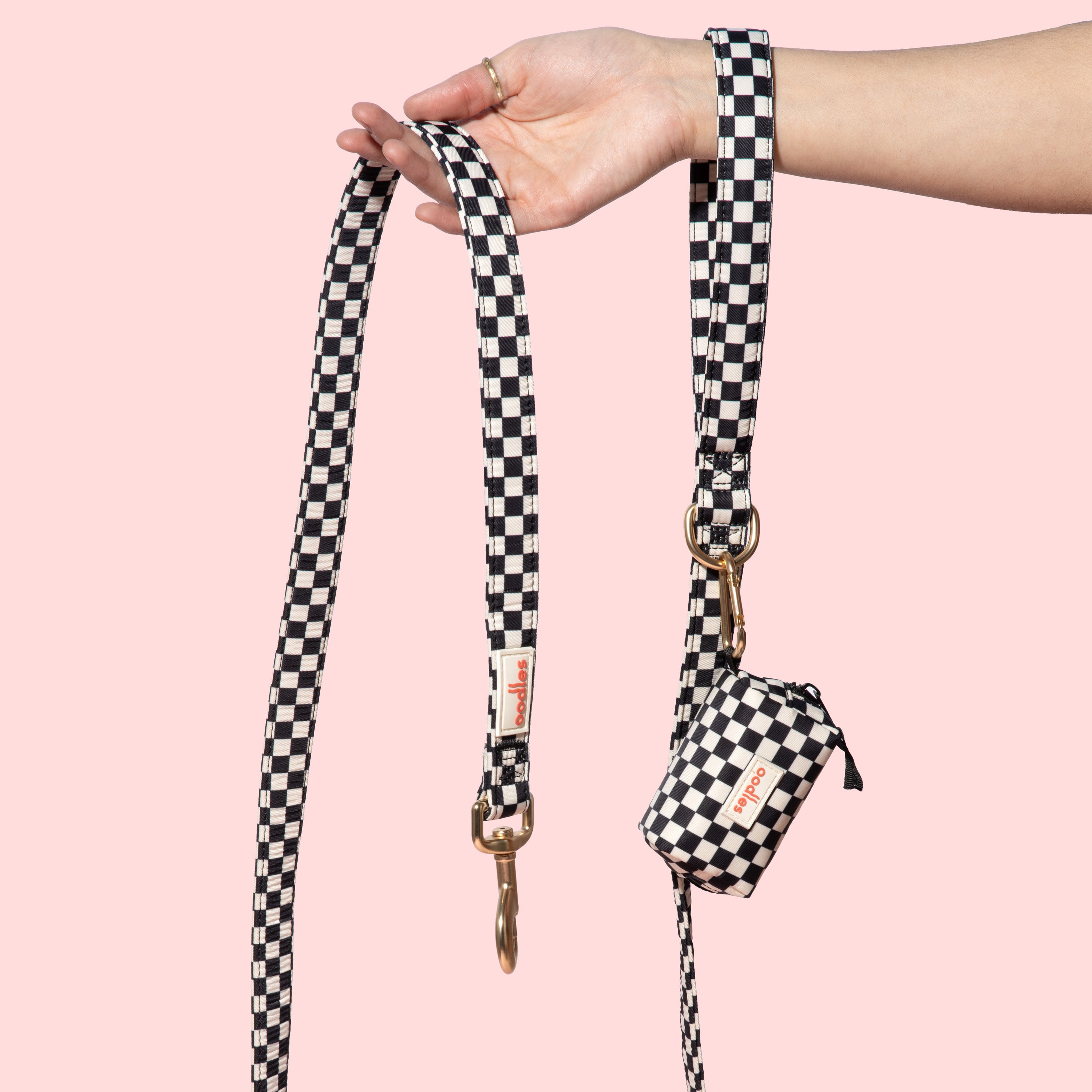 3-Piece Dog Walking Set