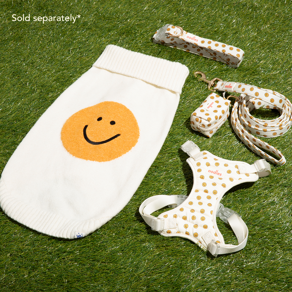 3-Piece Dog Walking Set