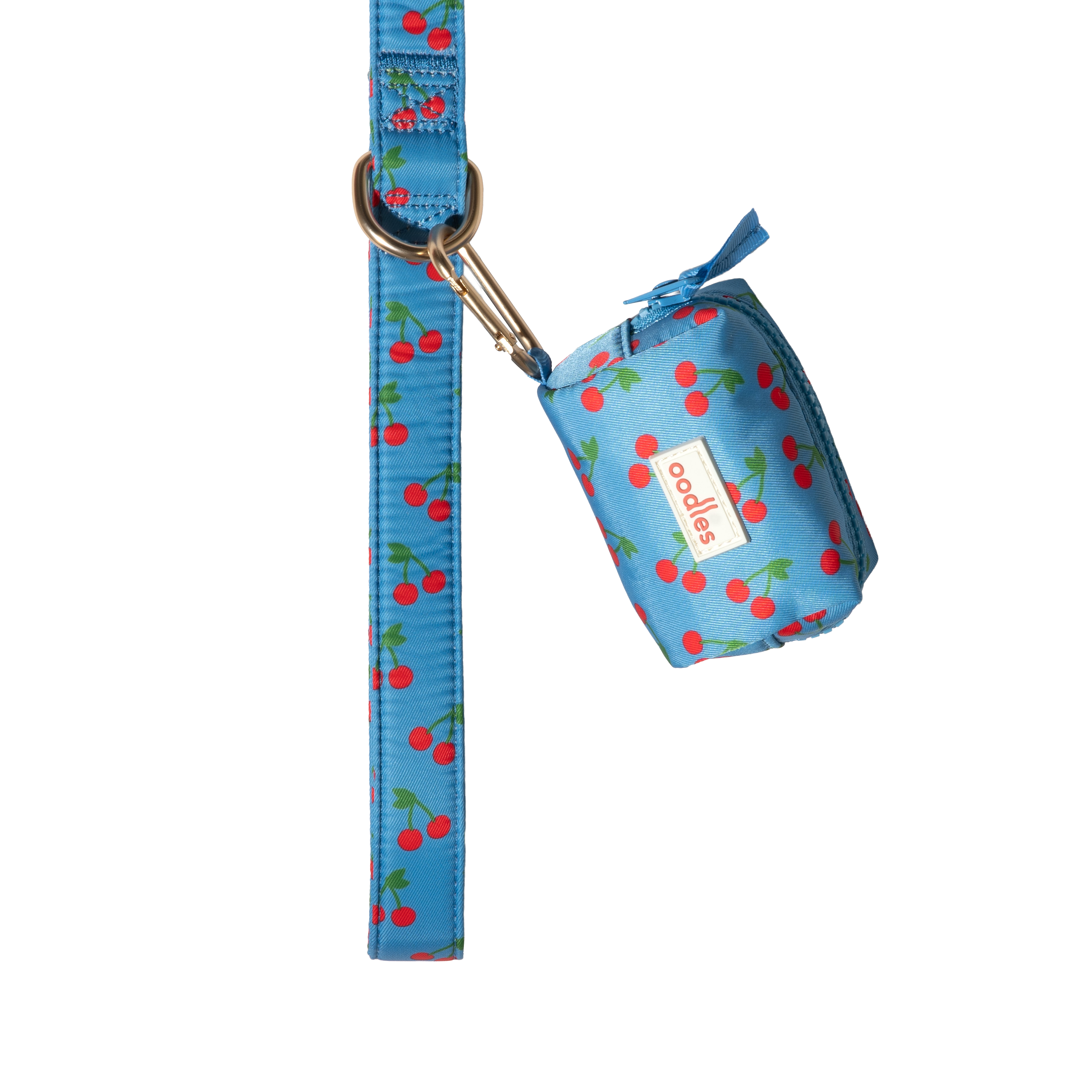 3-Piece Dog Walking Set