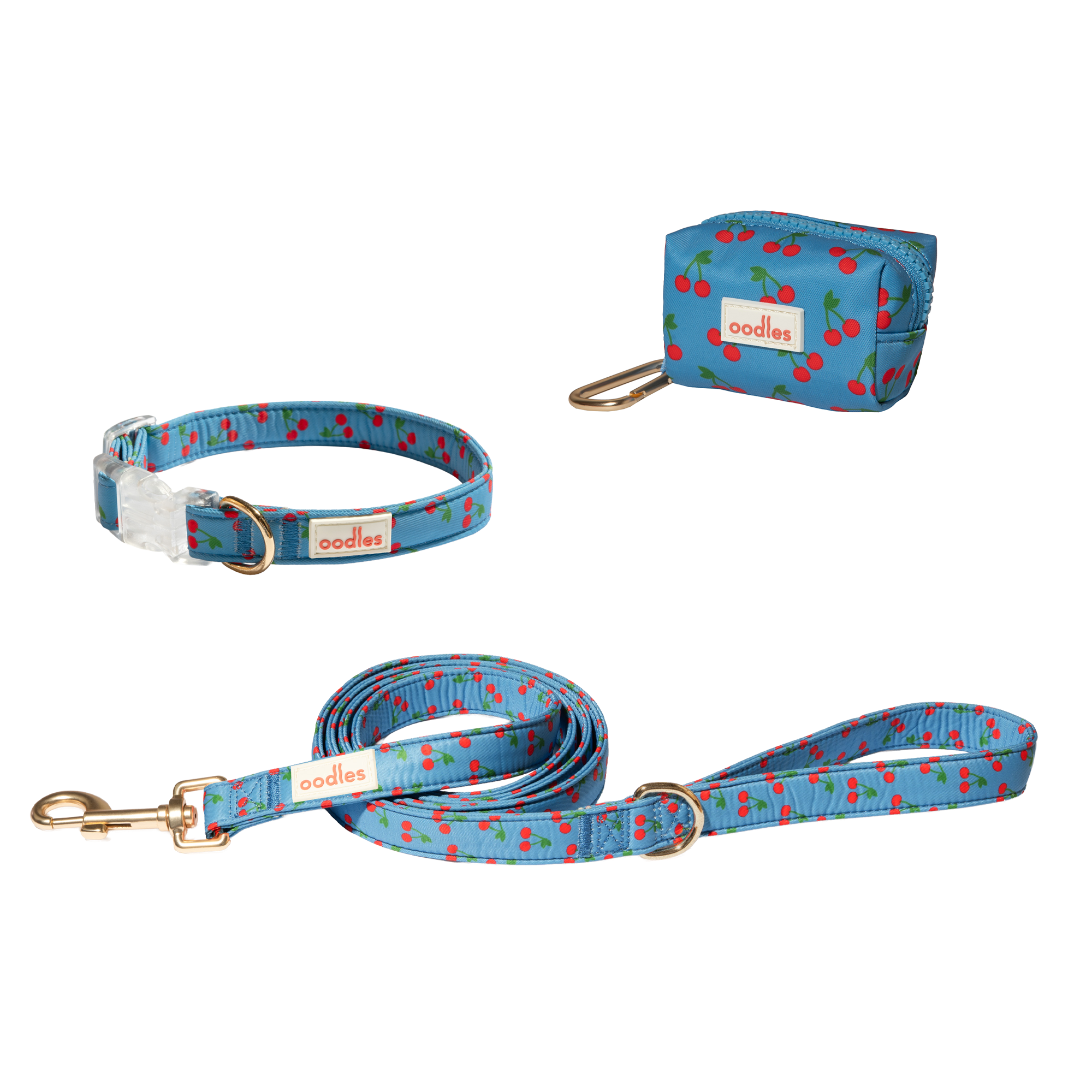 3-Piece Dog Walking Set