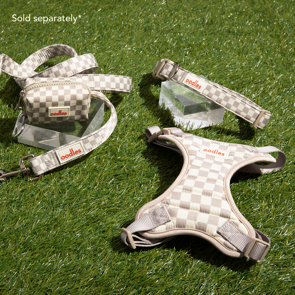 3-Piece Dog Walking Set