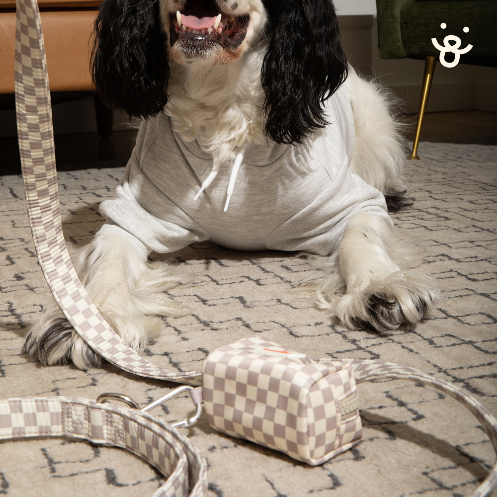 3-Piece Dog Walking Set