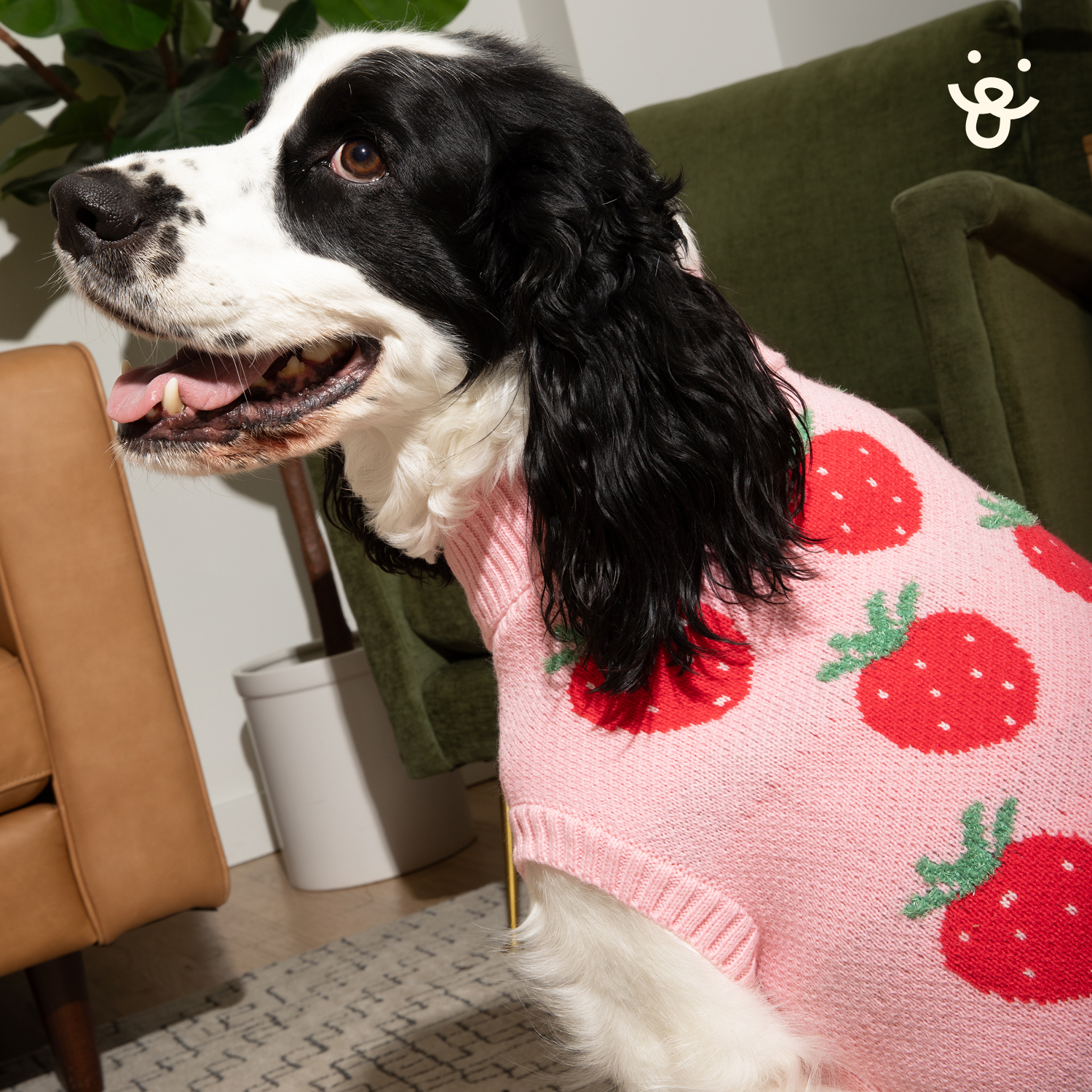 Turtle Neck Dog Sweater
