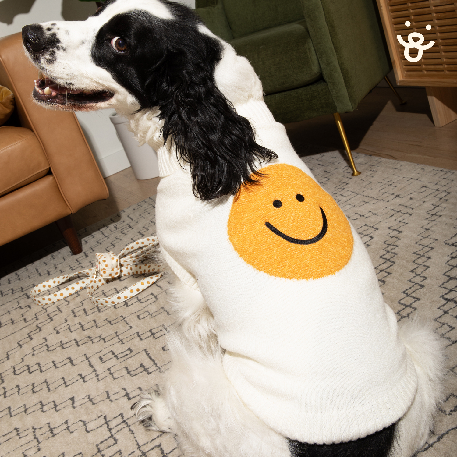 Turtle Neck Dog Sweater