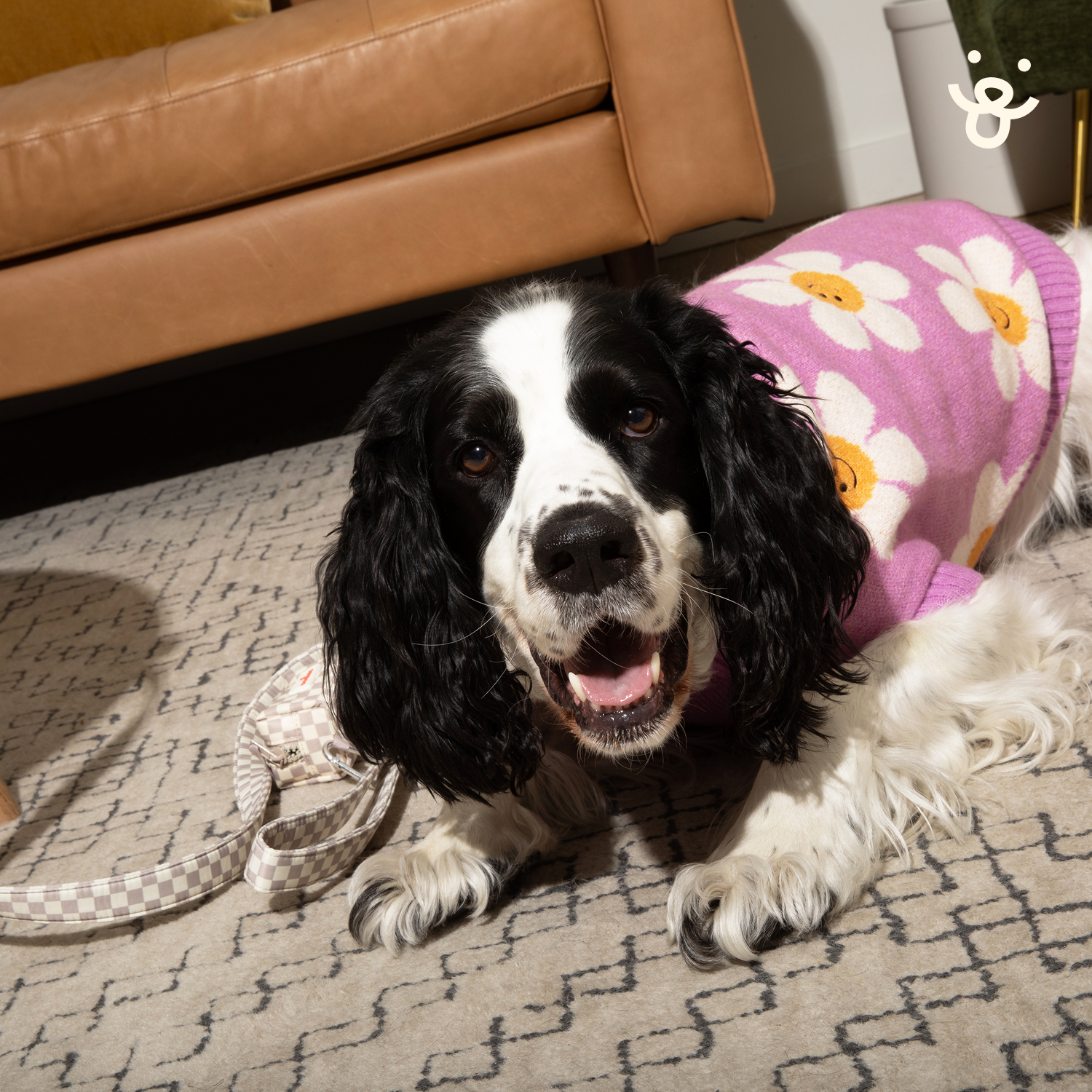 Turtle Neck Dog Sweater