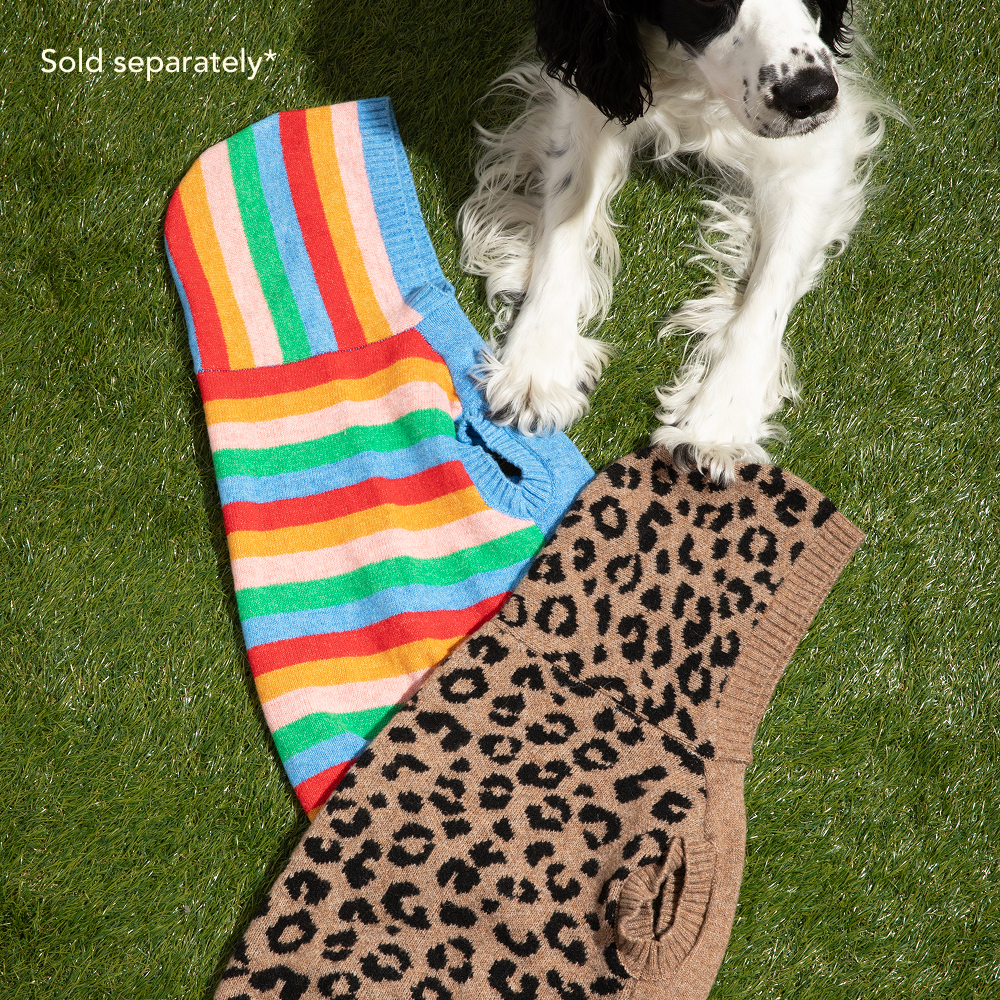 Hooded Dog Sweater