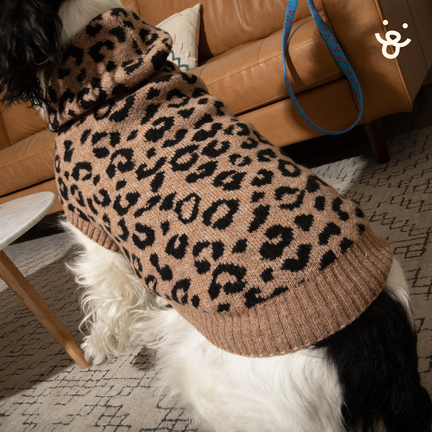 Hooded Dog Sweater