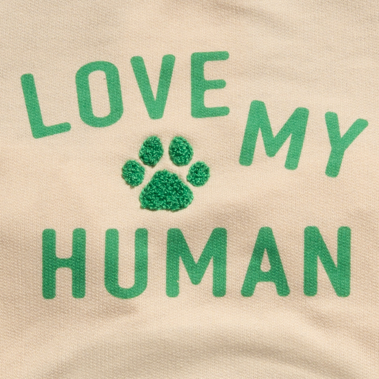 Raglan Dog T-Shirt