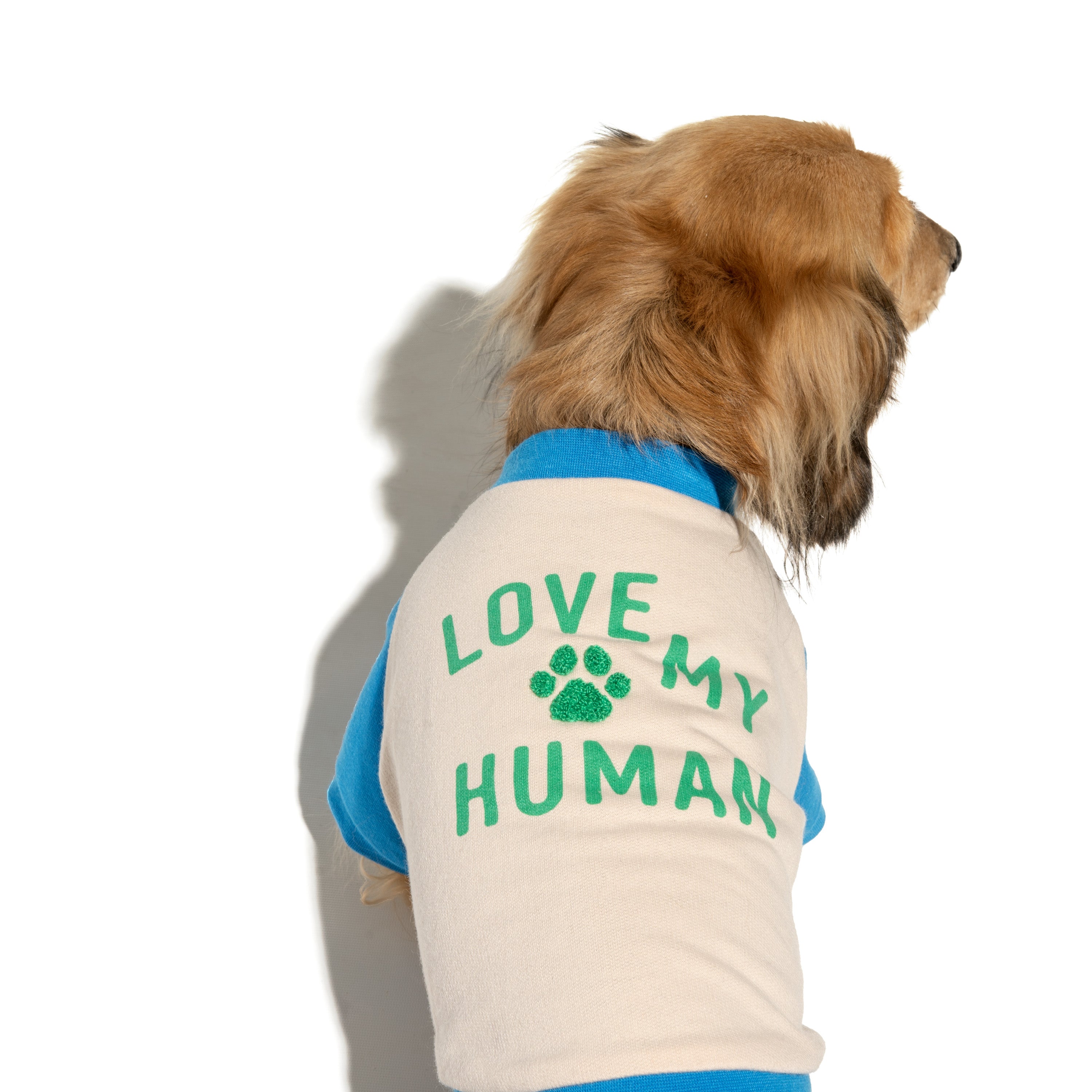 Raglan Dog T-Shirt