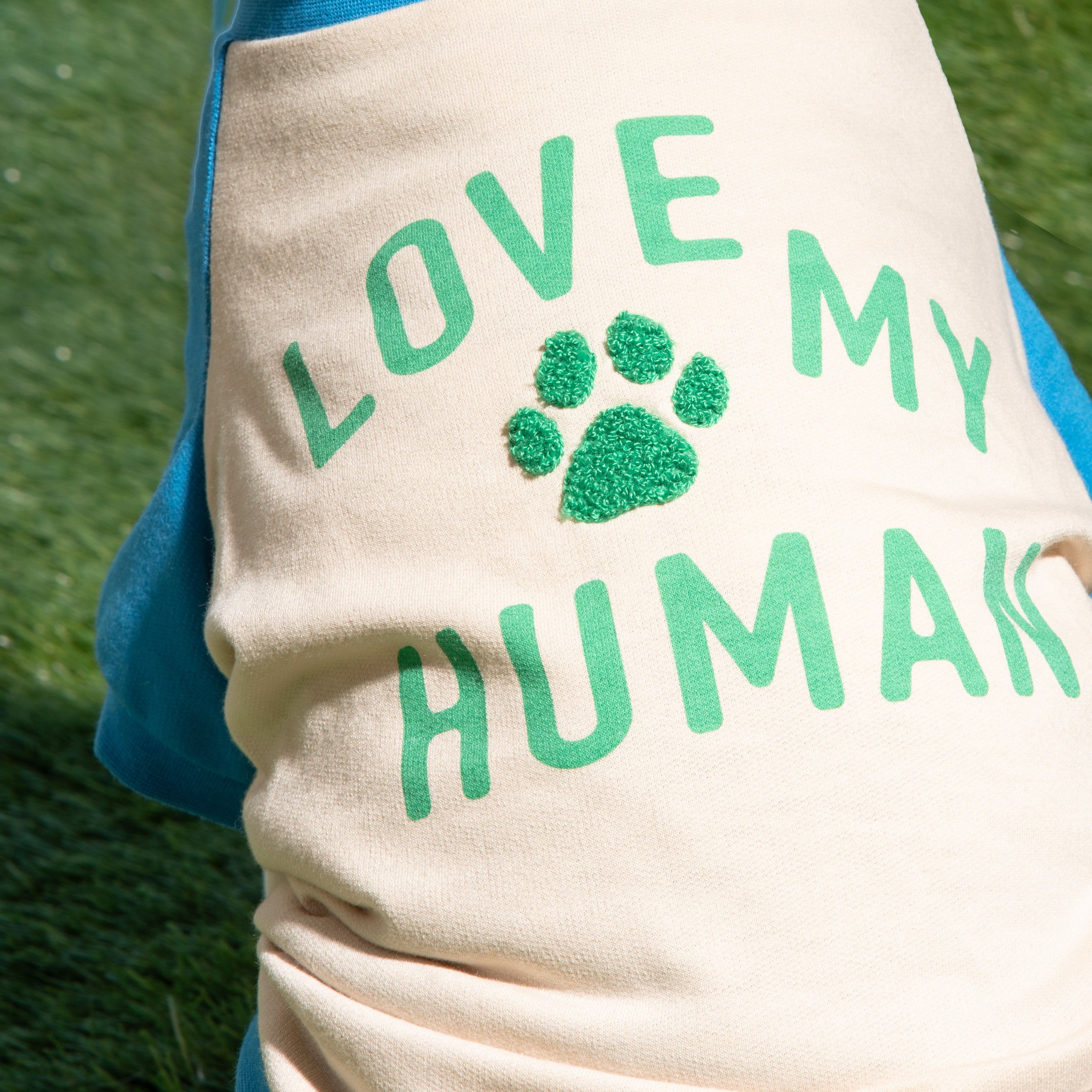 Raglan Dog T-Shirt