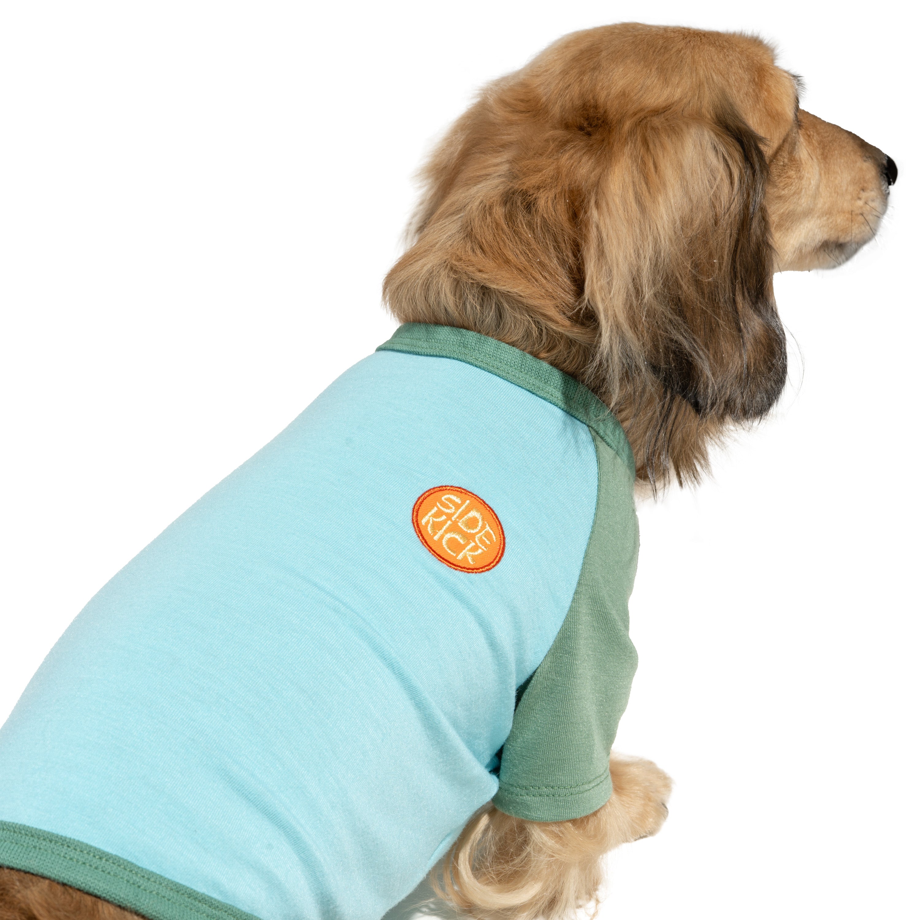 Raglan Dog T-Shirt