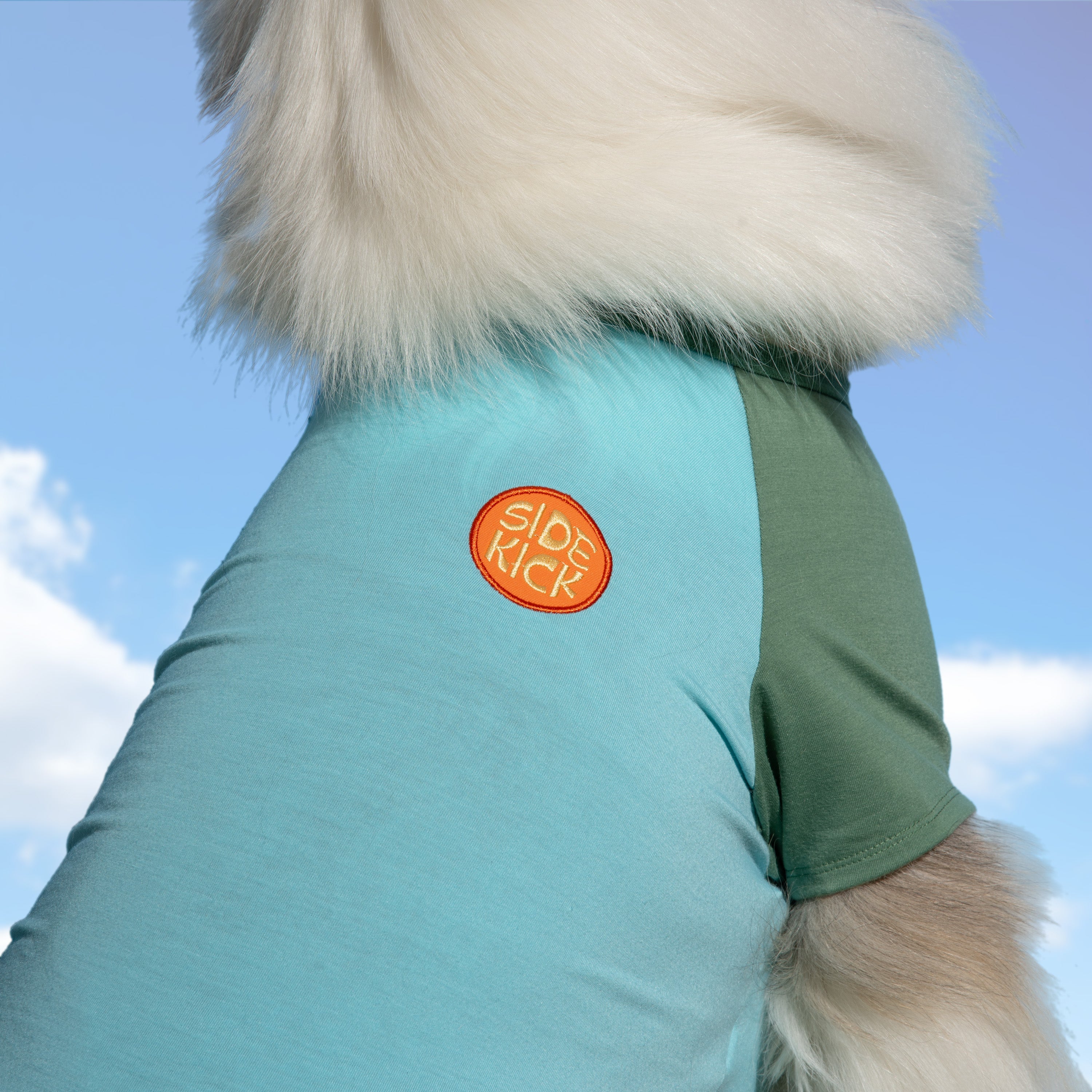 Raglan Dog T-Shirt