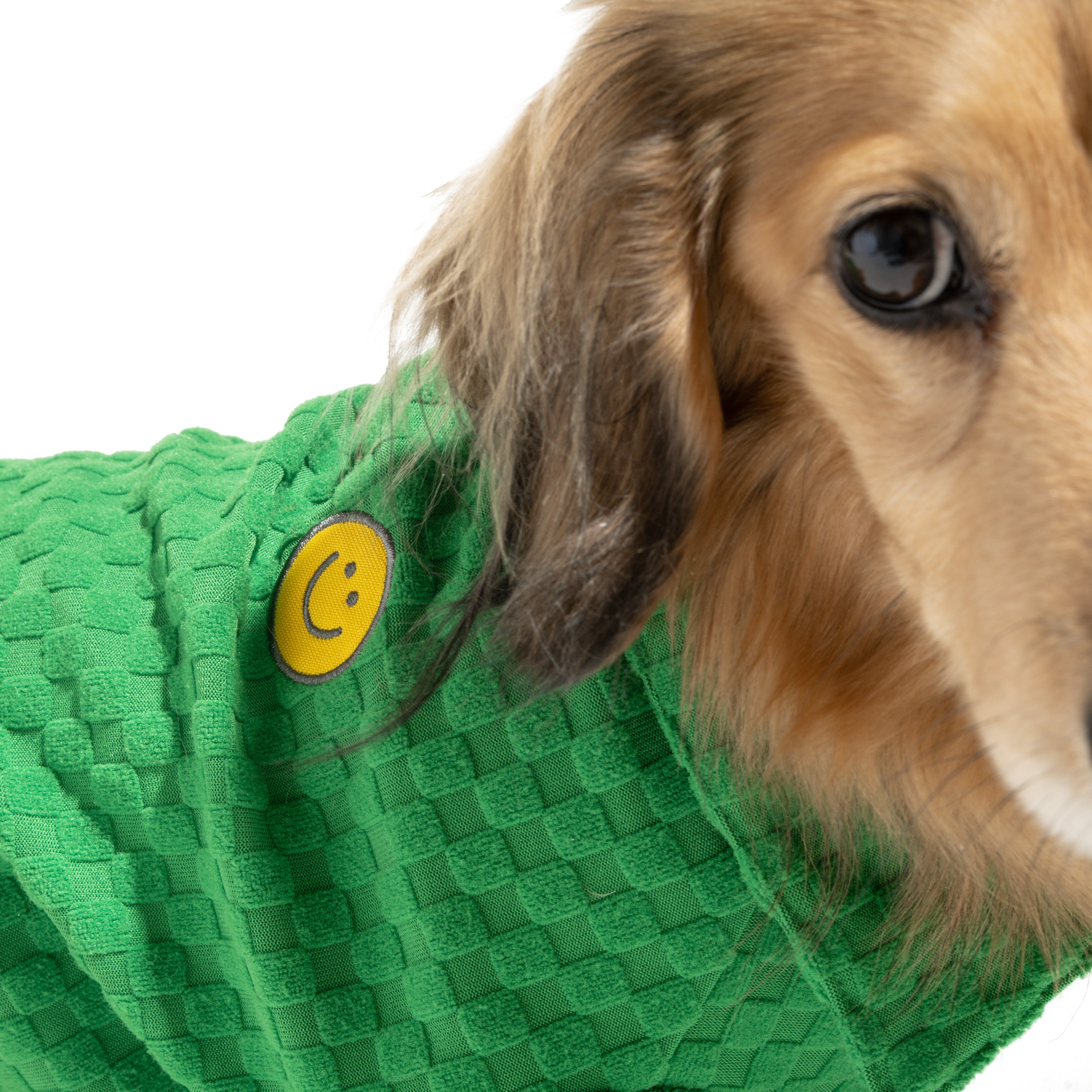 Boxy Button-Up Dog Shirt