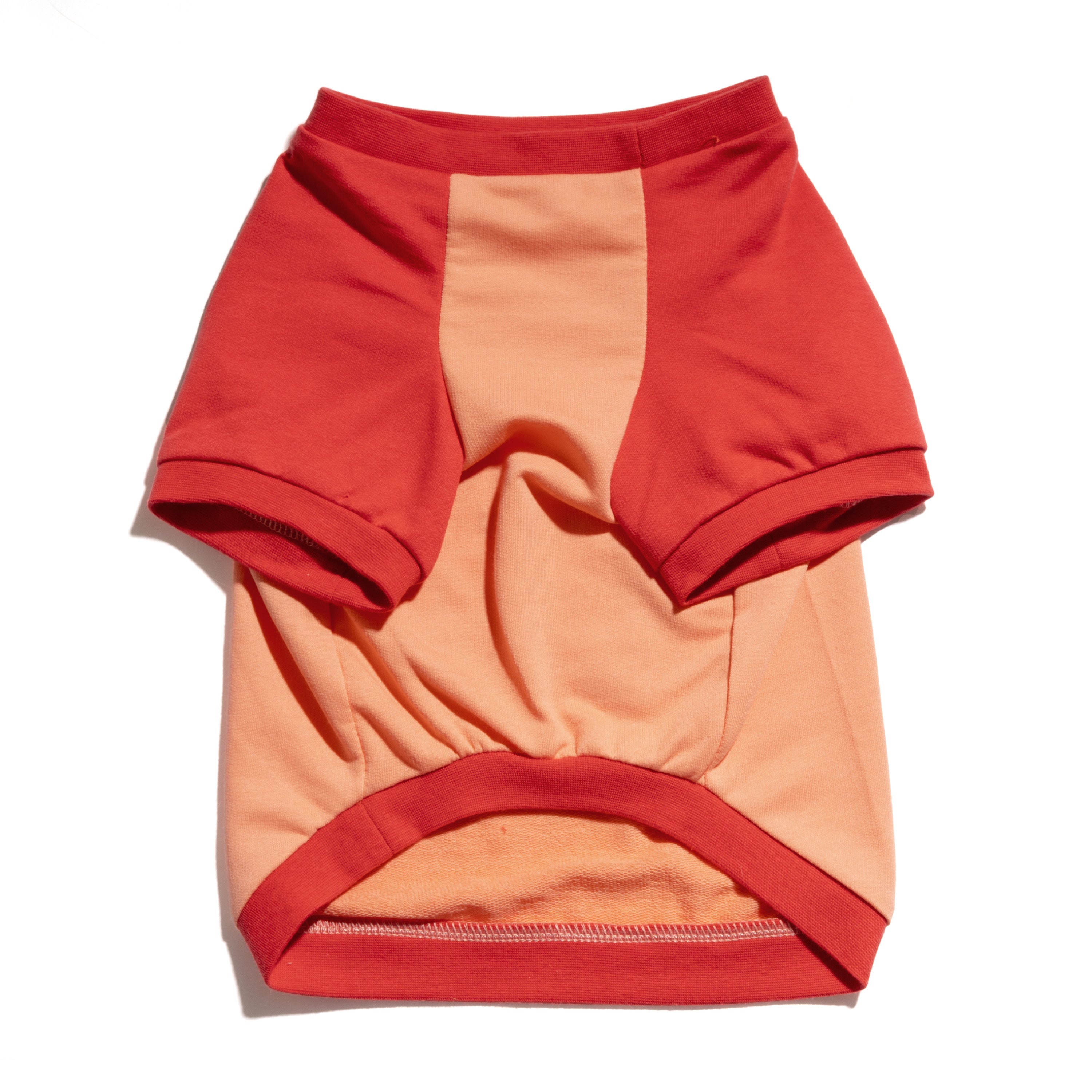 Raglan Dog T-Shirt