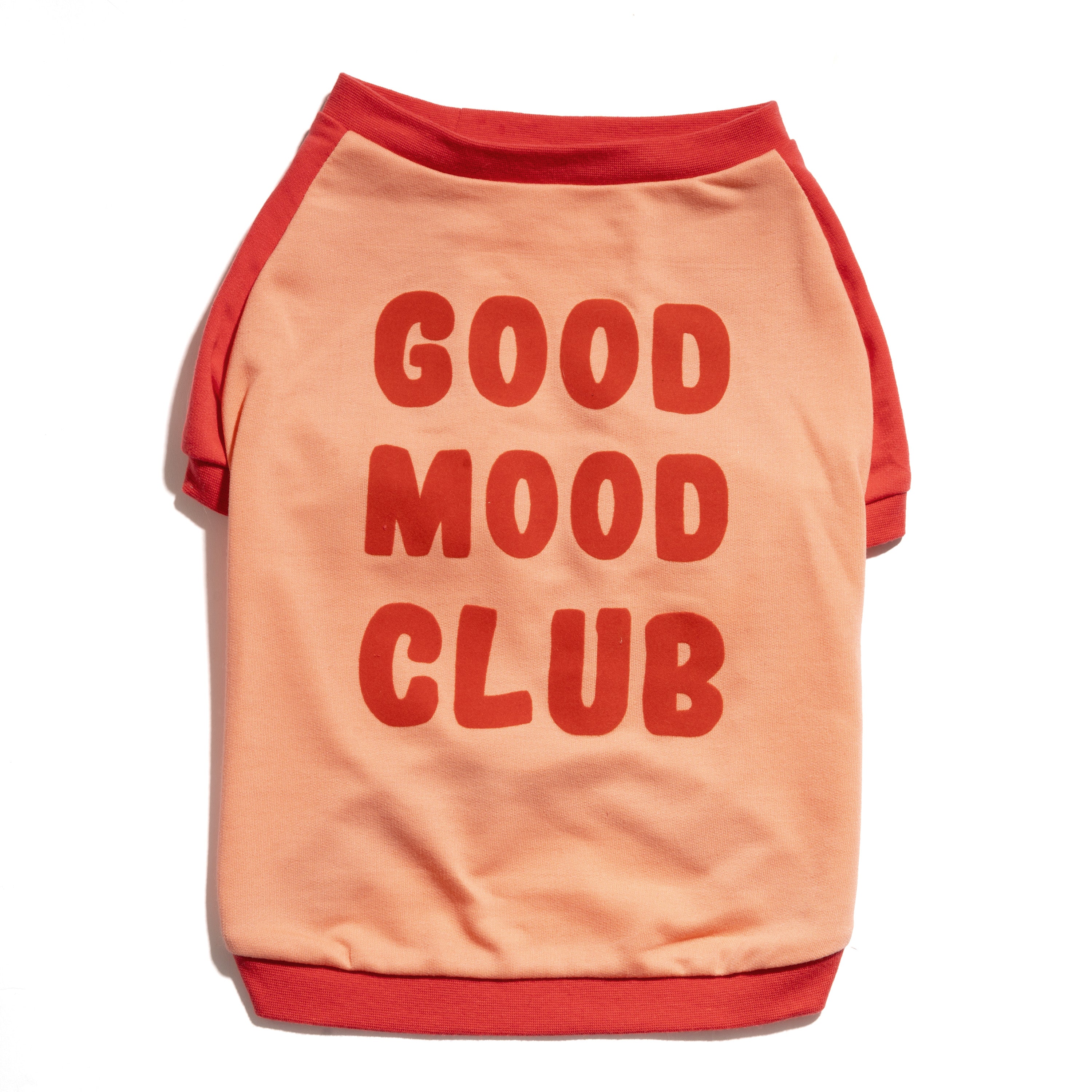 Raglan Dog T-Shirt