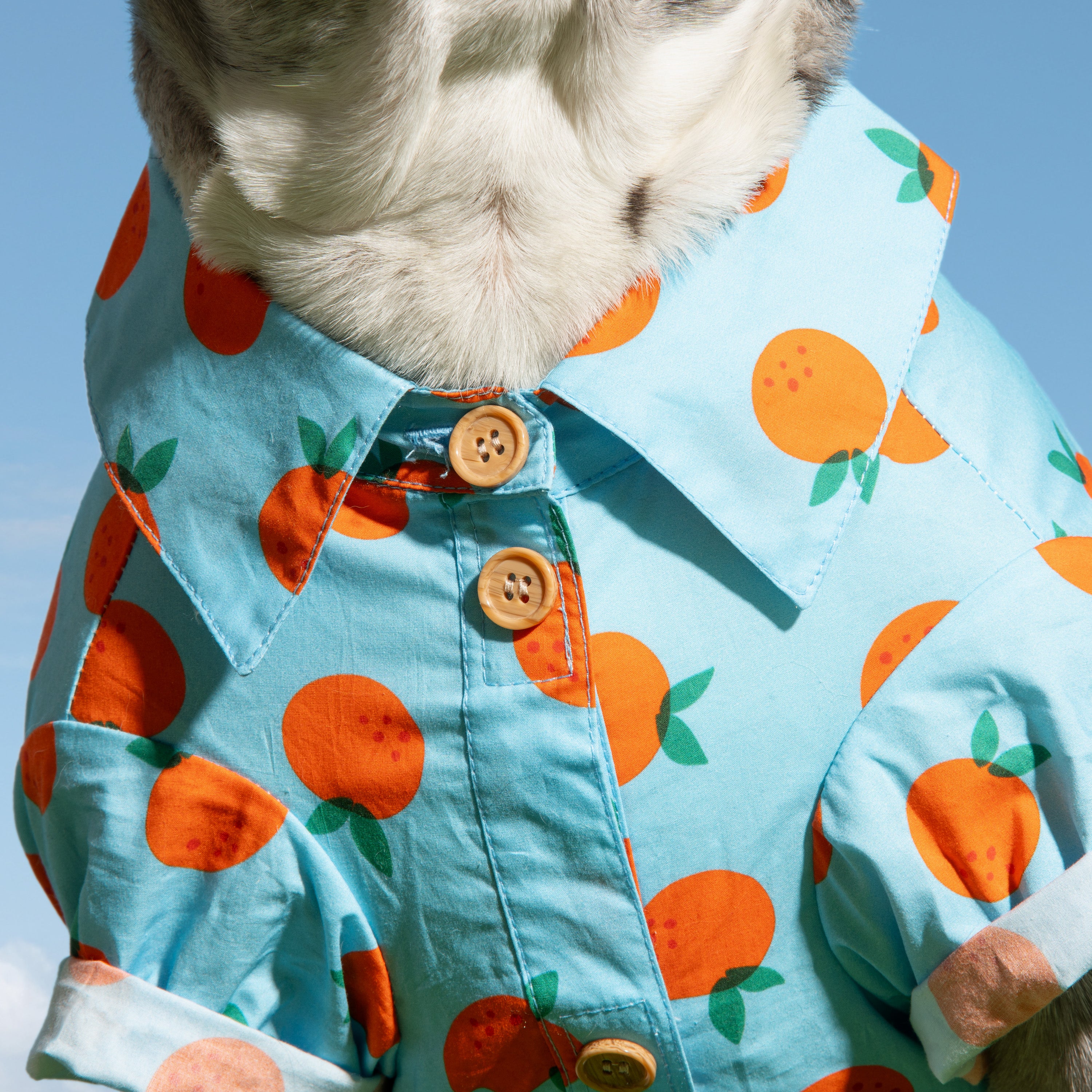 Boxy Button-Up Dog Shirt